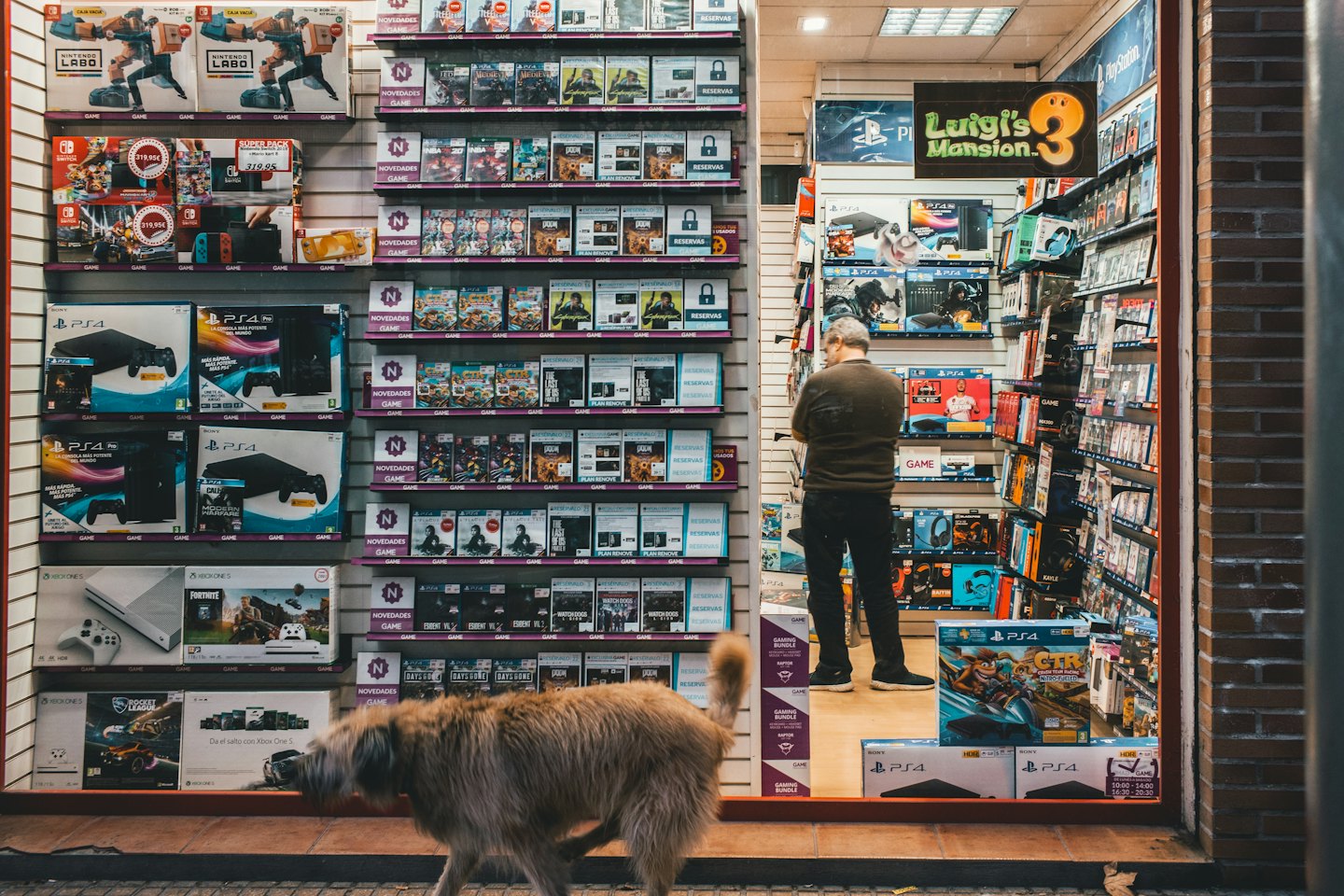 Un cliente guarda un negozio di videogiochi mentre un cane passa.